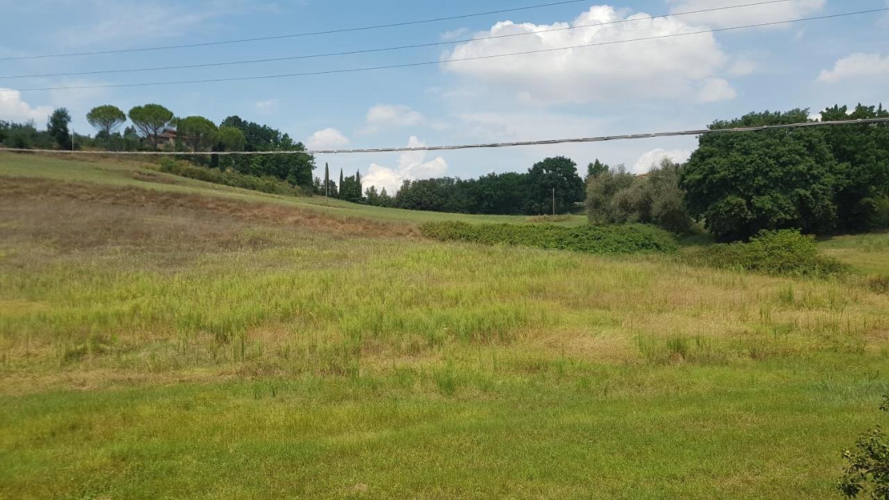 Val D'Orcia Deluxe 2, Raffinata Casa Immersa Nel Verde Con Wifi, Giardino E Parcheggio مونتالشينو المظهر الخارجي الصورة